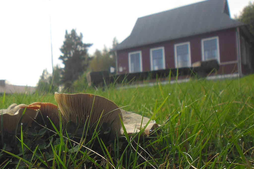Hovra Vandrarhem Håvra Exterior foto